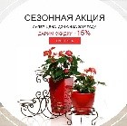 Акция до 29 декабря Акция до 29 декабря