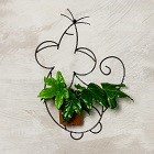 Настенные цветочницы. Новые модели Настенные цветочницы. Новые модели