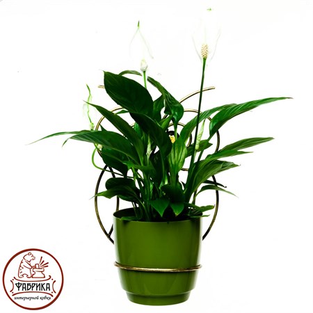 Подставка для цветов на стену