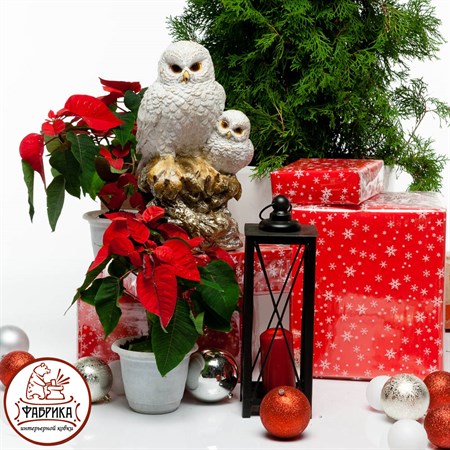 Сова с совенком