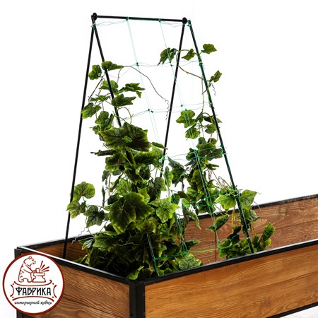 Опора для растений
