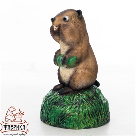 крышка для люка