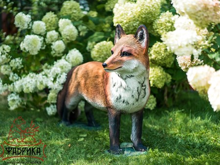 лесные звери