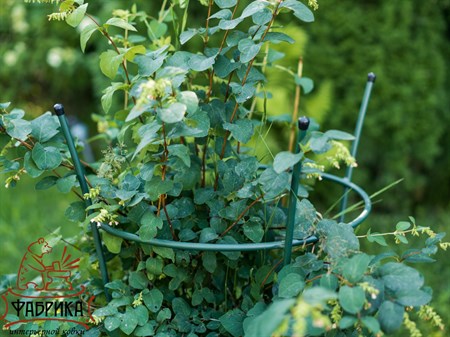 садовая опора для растений