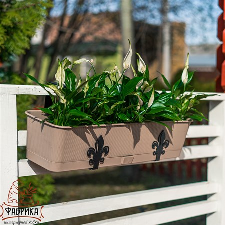 для ящика с цветами