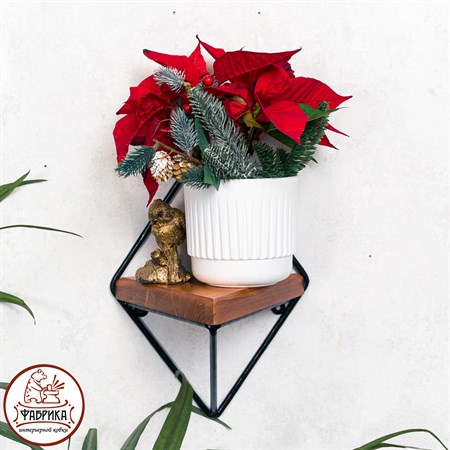 Настенная подставка 66-501 - фото 33018