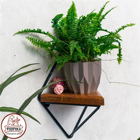 Настенная подставка 66-501 - фото 33022