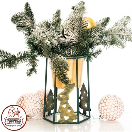 на одно растение