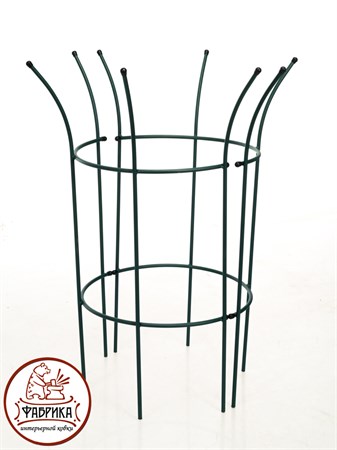 для роста растений