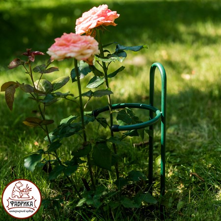 для развития растений