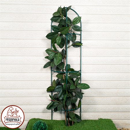 опора для растений