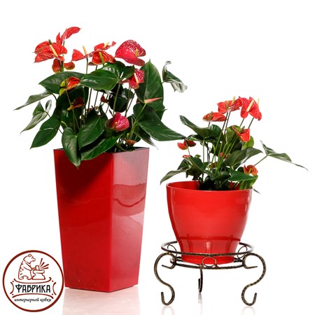 Цветочница 70-151