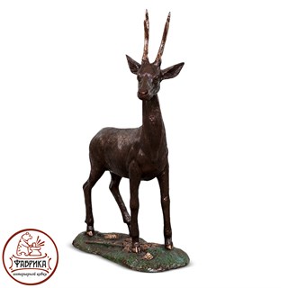 Косуля US08118