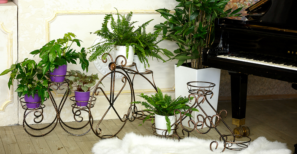 Кованые подставки под цвет