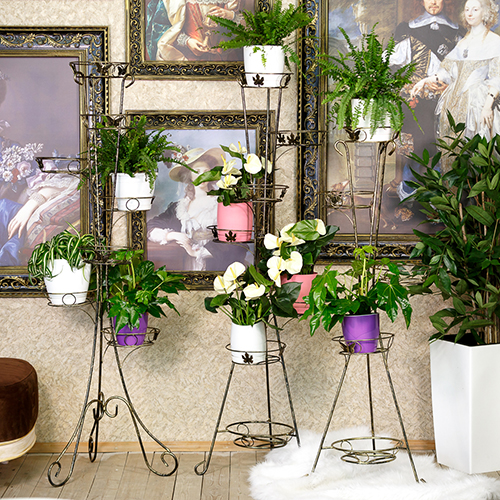 Кованые стойки для растений