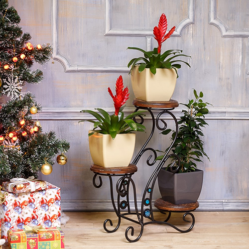 Напольные деревянные подставки для цветов